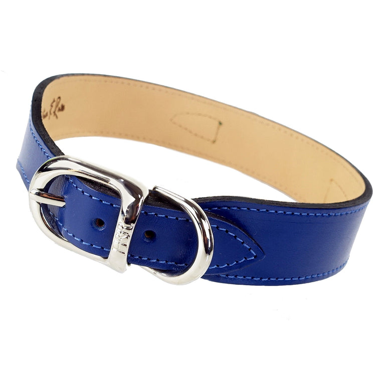 Belmont in Cobalt Blue, Kelly Green & Nickel