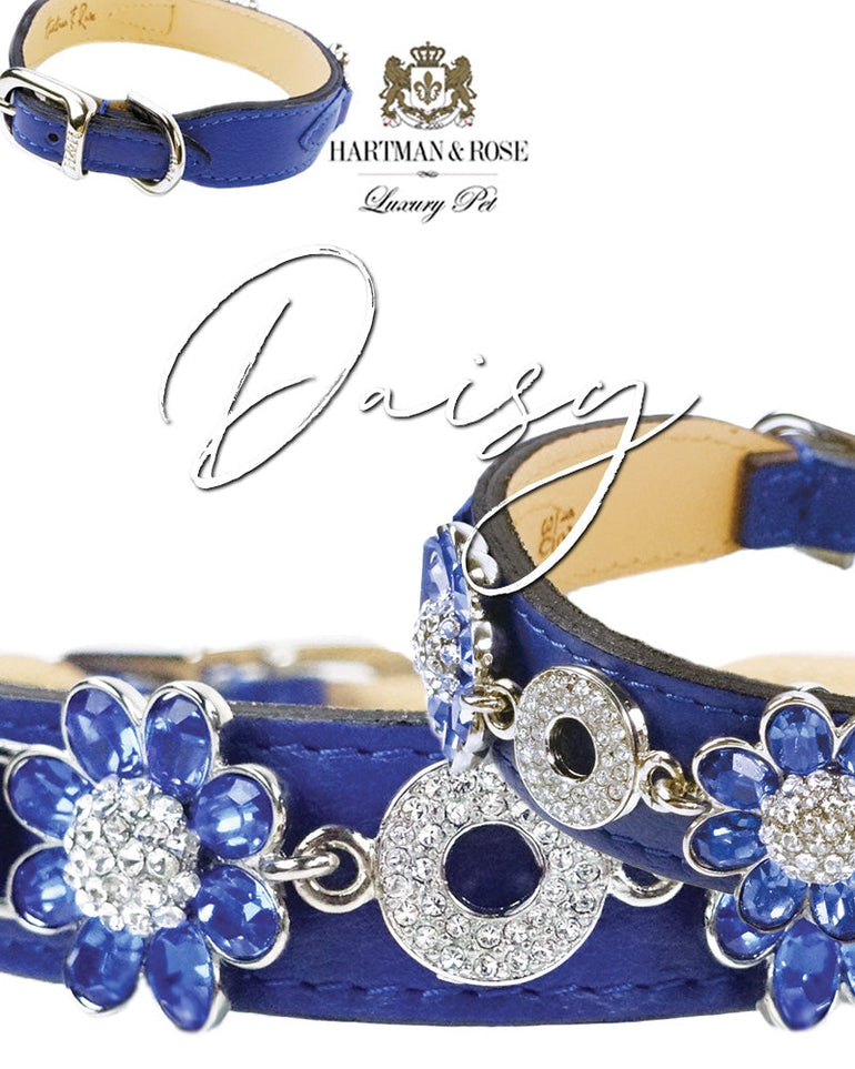 Daisy in Cobalt Blue & Nickel