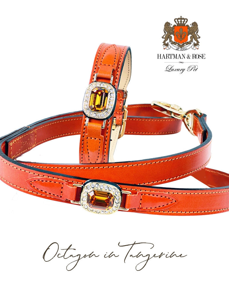 Octagon in Tangerine & Topaz