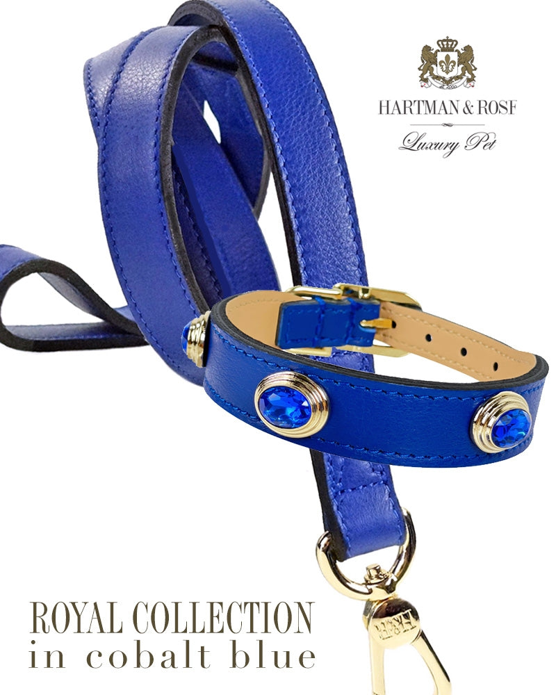 Royal Lead in Cobalt Blue