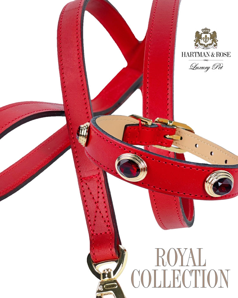 The Royal Ferrari Red Lead