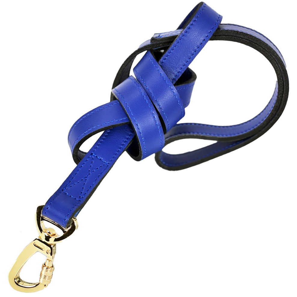 Holiday Lead in Cobalt Blue & Gold