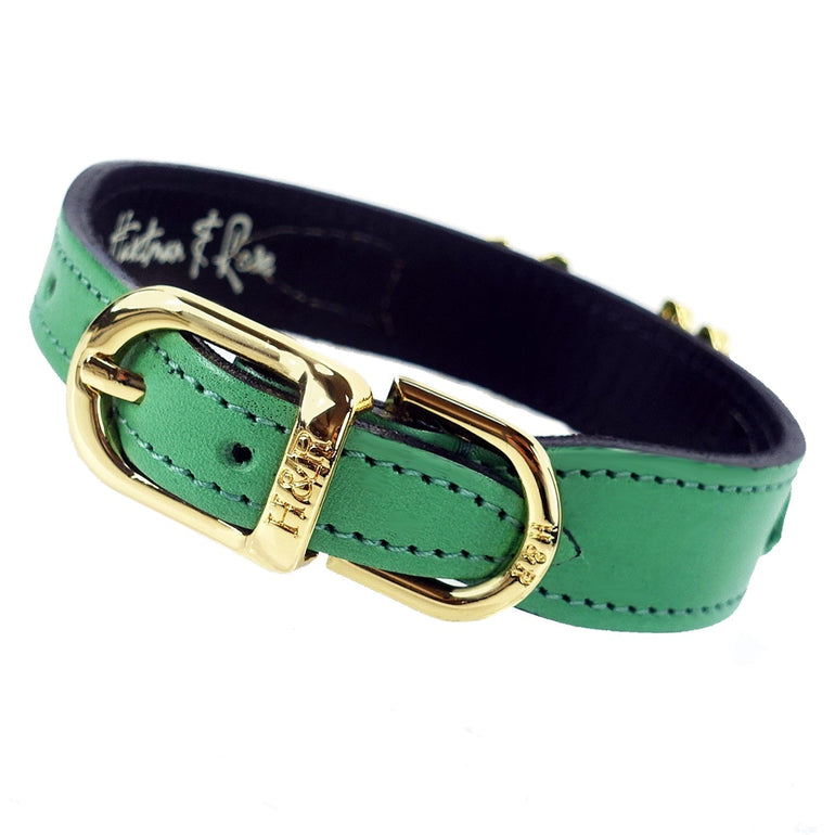 Leap Frog in Kelly Green