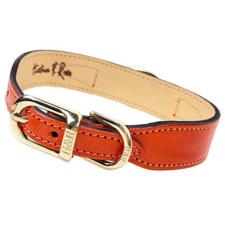 Octagon in Tangerine & Topaz