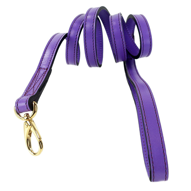 Daisy Lead in Lavender & Gold
